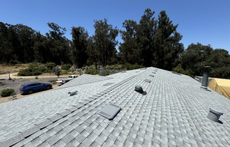 Roof Replacement