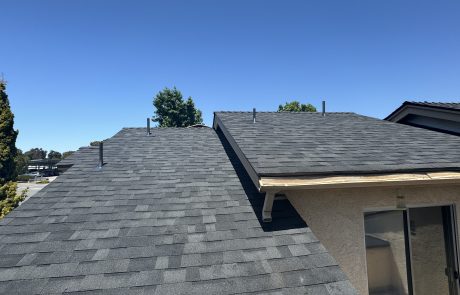 Roof Replacement
