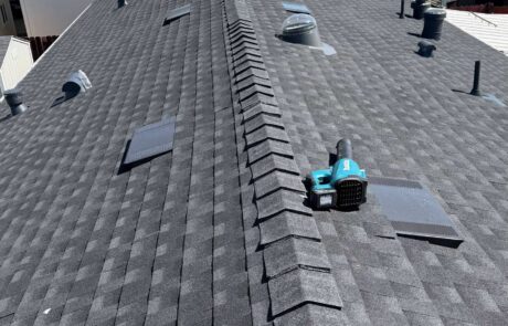 New asphalt shingle roof with roof vents and skylights on a residential home.